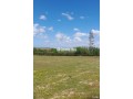3-hectares-a-vendre-dans-la-region-dal-arjat-small-4