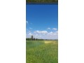 3-hectares-a-vendre-dans-la-region-dal-arjat-small-5