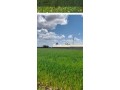 3-hectares-a-vendre-dans-la-region-dal-arjat-small-6