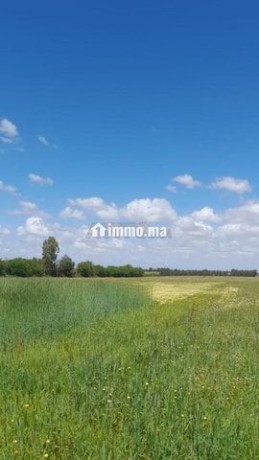 3-hectares-a-vendre-dans-la-region-dal-arjat-big-0