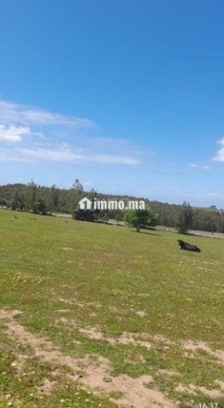 3-hectares-a-vendre-dans-la-region-dal-arjat-big-1