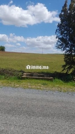 3-hectares-a-vendre-dans-la-region-dal-arjat-big-2