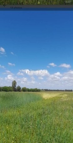 3-hectares-a-vendre-dans-la-region-dal-arjat-big-5