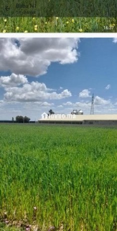 3-hectares-a-vendre-dans-la-region-dal-arjat-big-6