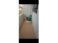 appartement-a-louer-small-4