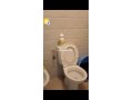 appartement-a-louer-small-7