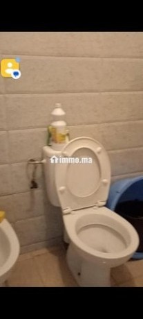 appartement-a-louer-big-7