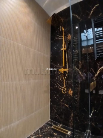 appartement-de-luxe-meuble-a-louer-big-16