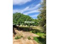 tres-belle-ferme-de-10000-m2-titree-arboree-fleurie-small-0