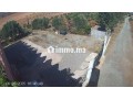 tres-belle-ferme-de-10000-m2-titree-arboree-fleurie-small-1