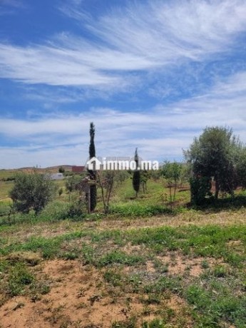 tres-belle-ferme-de-10000-m2-titree-arboree-fleurie-big-2