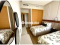 appartement-meuble-de-luxe-avec-balcon-a-louer-small-9