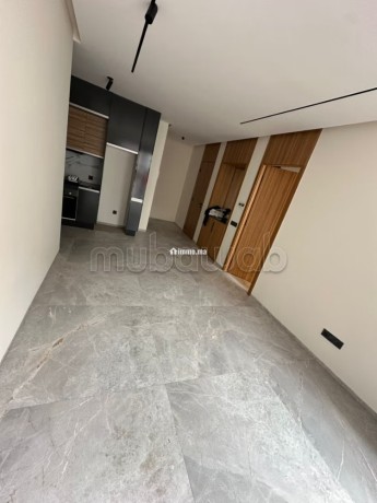 location-dun-appartement-a-les-princesses-2-pieces-service-de-concierge-et-climatisation-big-2