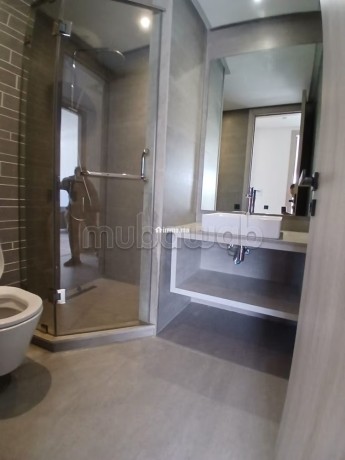 bel-appartement-en-location-a-ferme-bretonne-hay-arraha-surface-totale-100-m2-bien-meuble-big-4