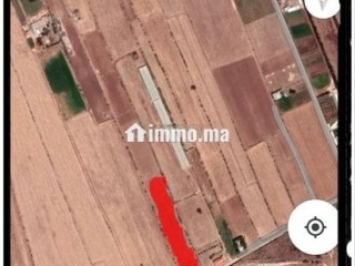 terrain-a-vendre-dans-la-region-de-sidi-rahal-plage
