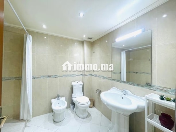 location-appartement-meuble-boulevard-ghandi-big-9