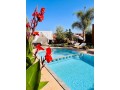 villa-sarah-nour-small-0