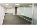 superbe-plateau-bureau-palmier-small-1