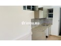 superbe-plateau-bureau-palmier-small-8