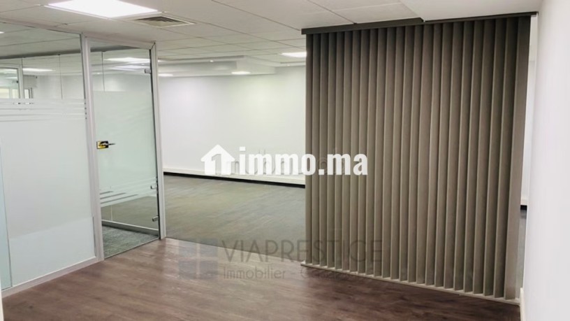 superbe-plateau-bureau-palmier-big-6