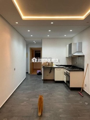 studio-48m2-a-louer-quartier-les-hopitaux-big-0