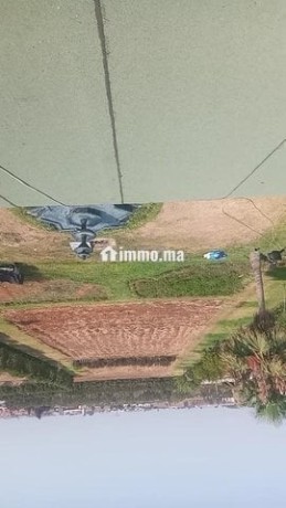 a-louer-villa-avec-grand-jardin-ferme-big-8