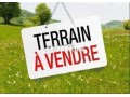 terrain-a-vendre-a-californie-small-0