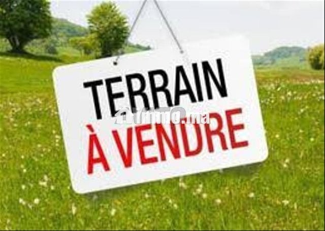 terrain-a-vendre-a-californie-big-0