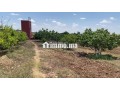 ferme-2ha6520m2-a-vendre-a-el-jadida-small-0