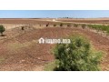 ferme-2ha6520m2-a-vendre-a-el-jadida-small-9