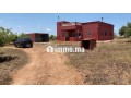 ferme-2ha6520m2-a-vendre-a-el-jadida-small-13