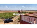 ferme-2ha6520m2-a-vendre-a-el-jadida-small-18