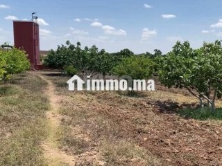 ferme-2ha6520m2-a-vendre-a-el-jadida