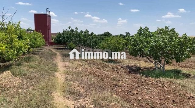 ferme-2ha6520m2-a-vendre-a-el-jadida-big-0