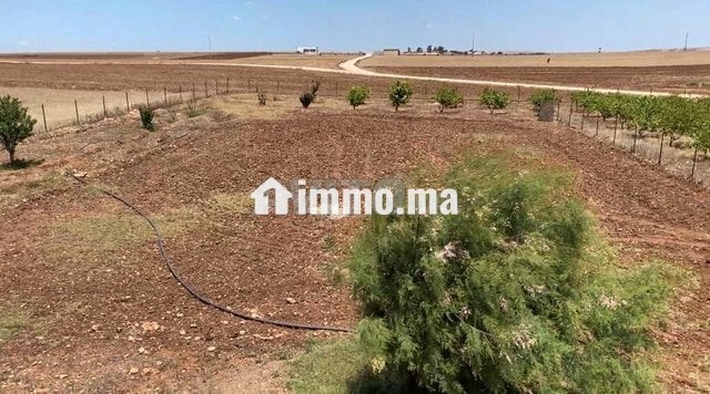 ferme-2ha6520m2-a-vendre-a-el-jadida-big-9