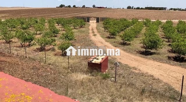 ferme-2ha6520m2-a-vendre-a-el-jadida-big-1