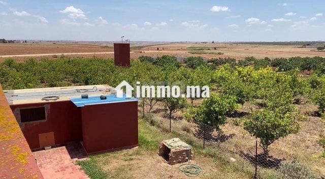 ferme-2ha6520m2-a-vendre-a-el-jadida-big-8