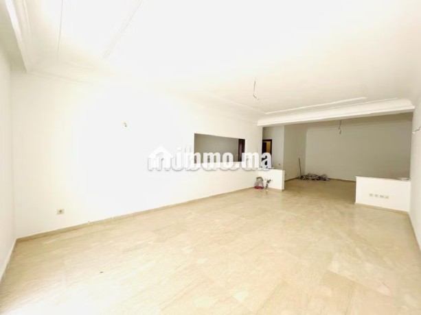 location-appartement-vide-racine-terrasse-big-0