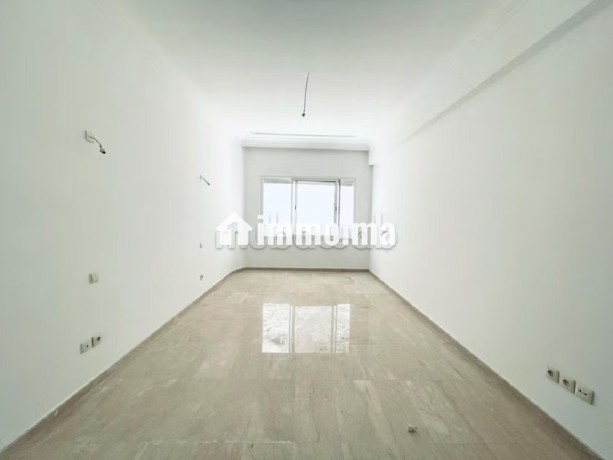 location-appartement-vide-racine-terrasse-big-2
