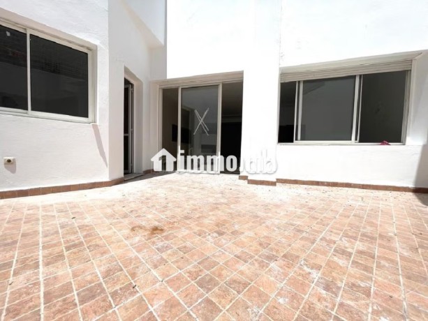 location-appartement-vide-racine-terrasse-big-3