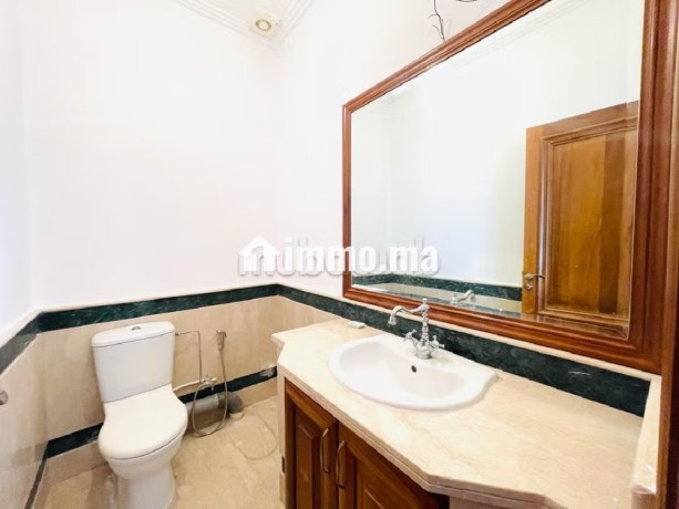 location-appartement-vide-racine-terrasse-big-5