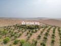 projet-touristique-a-vendre-vna-rte-amezmiz-small-4