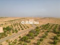 projet-touristique-a-vendre-vna-rte-amezmiz-small-5
