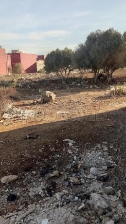 vente-de-terrain-a-ain-chouater-surface-totale-170-m2-big-2