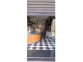 magasin-a-vendre-a-palmier-small-10