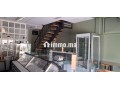 magasin-a-vendre-a-palmier-small-3