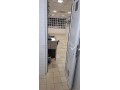 magasin-a-vendre-a-palmier-small-4