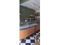 magasin-a-vendre-a-palmier-small-7