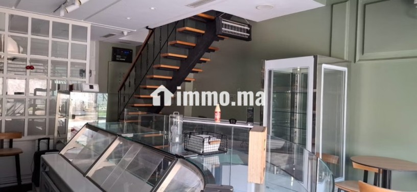 magasin-a-vendre-a-palmier-big-3