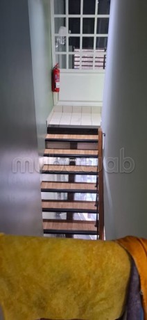 magasin-a-vendre-a-palmier-big-6